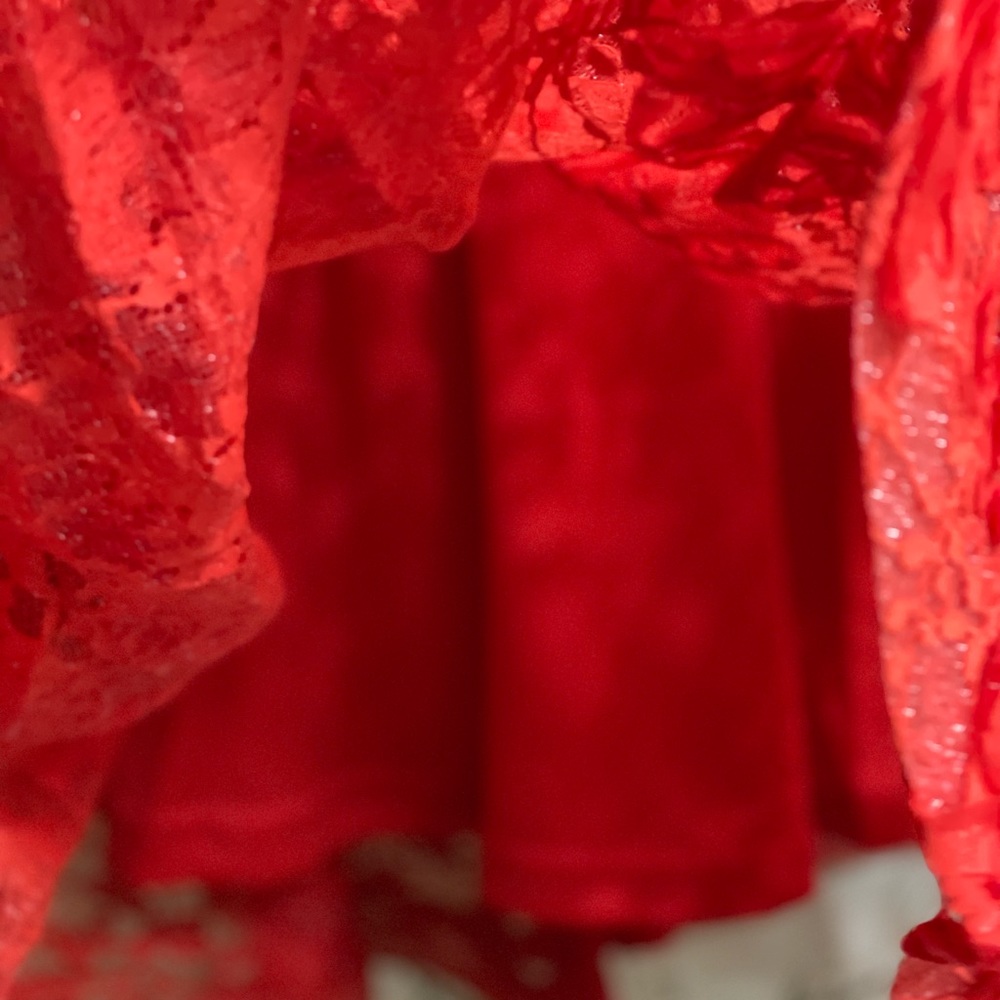 Red Lace Dress for Valentines or that special date - Picture 9 of 12